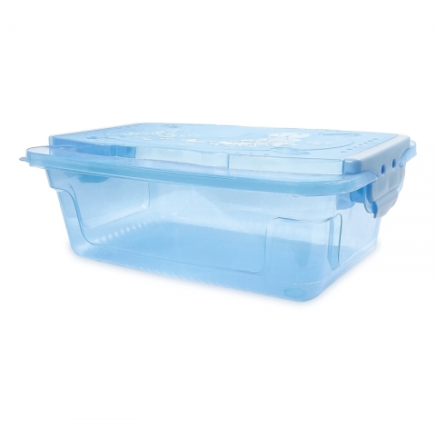 Translucent Kids' Organizer with Locker