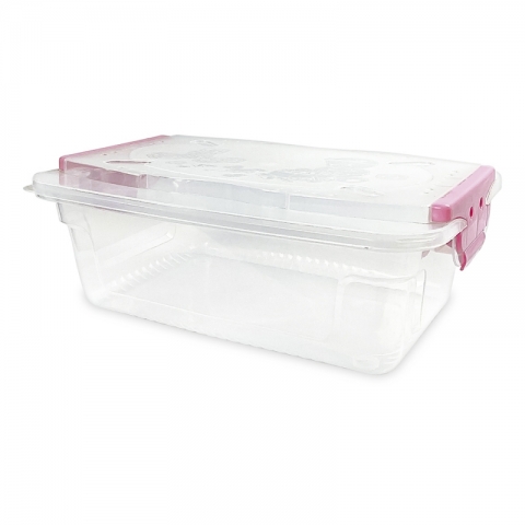 Transparent Kids' Organizer with Locker